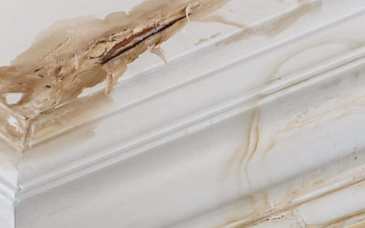 Managing Escape of Water in your home