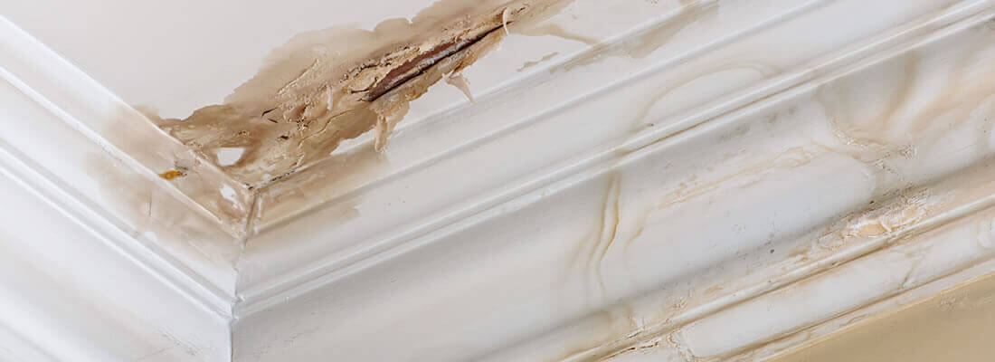 damaged roof repair