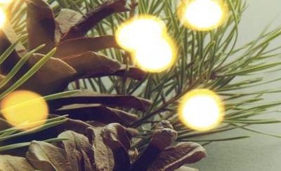 Christmas and New Year 2019 hours of business